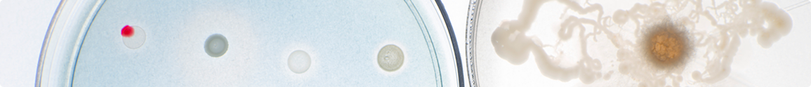 header-proyectos
