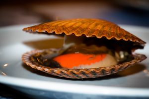IMG_7355