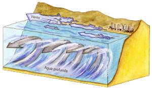 Surgencia 2