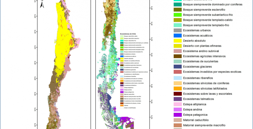 En el marco de la Convención de la Diversidad Biológica de Naciones Unidas: Nueva clasificación de ecosistemas terrestres chilenos permite medir los avances en conservación