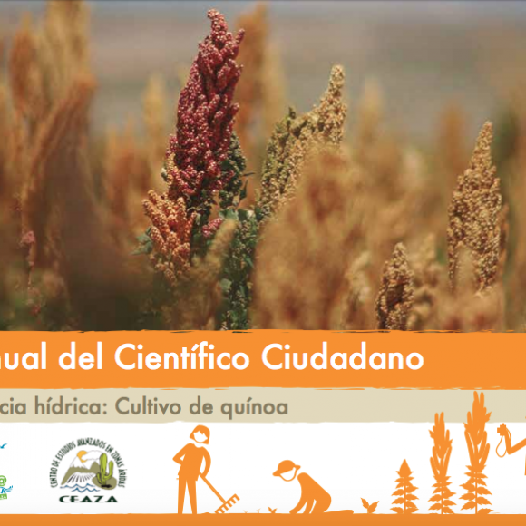 “Eficiencia hídrica: cultivo de quínoa”
