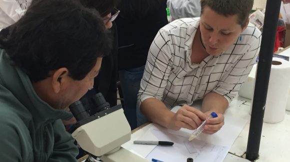 Como parte del Programa de Transferencia de Conocimientos del CEAZA, apoyado por CONICYT: Capacitan a profesores de liceos agrícolas en uso de herramientas biotecnológicas