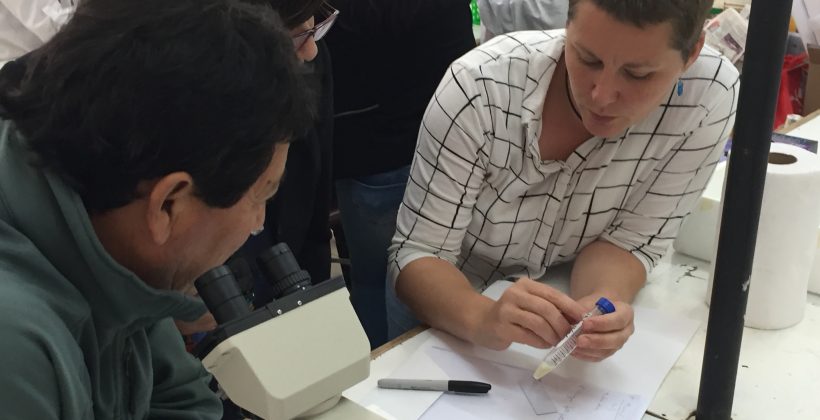 Como parte del Programa de Transferencia de Conocimientos del CEAZA, apoyado por CONICYT: Capacitan a profesores de liceos agrícolas en uso de herramientas biotecnológicas