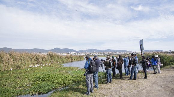 CEAZA organiza múltiples actividades para celebrar el Día Mundial de los humedales