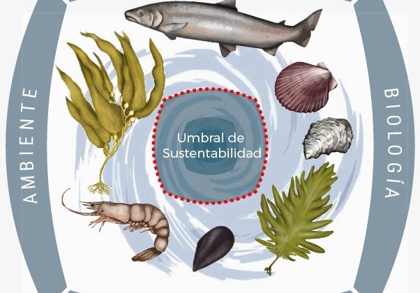 Estudio contribuye a establecer límites para una acuicultura sustentable
