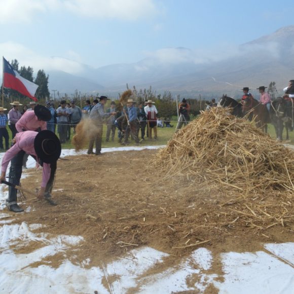En jornada dedicada al grano ancestral: CEAZA presenta aporte a la educación, ventajas y bondades del cultivo de la quinoa en el Valle de Elqui