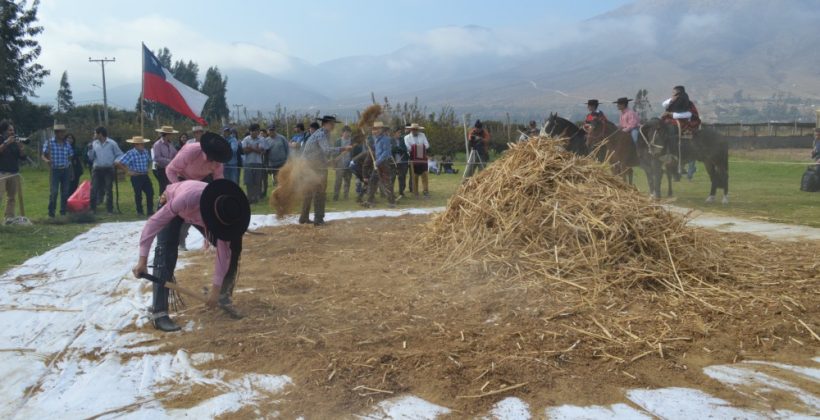 En jornada dedicada al grano ancestral: CEAZA presenta aporte a la educación, ventajas y bondades del cultivo de la quinoa en el Valle de Elqui