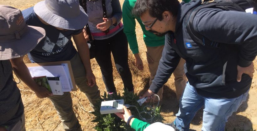 Científicos Ciudadanos aportan a la investigación desde diferentes rincones de la Región de Coquimbo