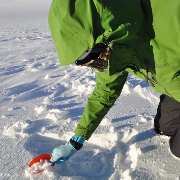 Primer diagnóstico sobre efecto de la contaminación en la nieve de la Cordillera de Los Andes