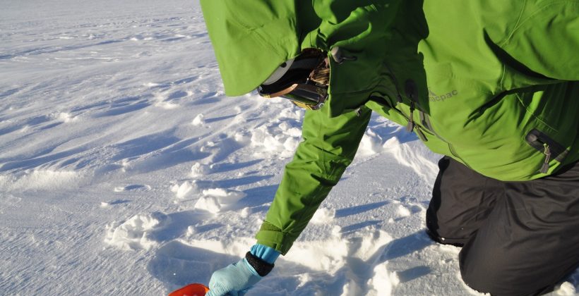 Primer diagnóstico sobre efecto de la contaminación en la nieve de la Cordillera de Los Andes