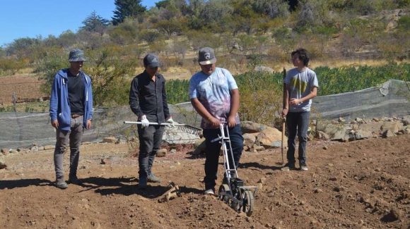 Capacitados por CEAZA en Hurtado: Estudiantes potencian habilidades en siembra de quinoa