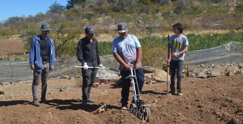Capacitados por CEAZA en Hurtado: Estudiantes potencian habilidades en siembra de quinoa