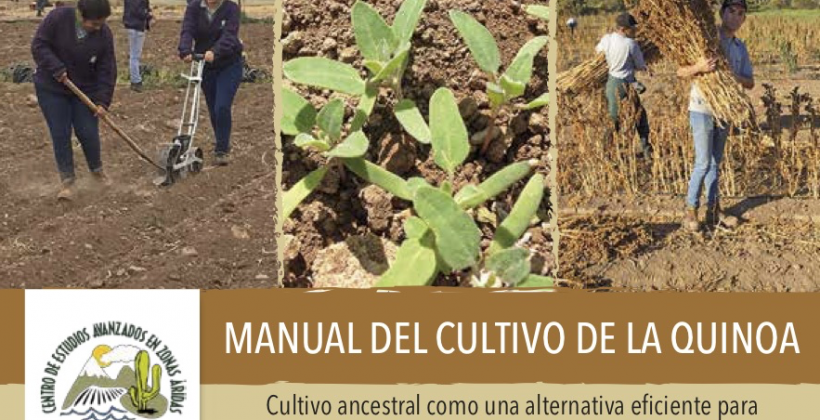 Manual de cultivo de la quinoa