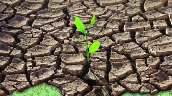 Taller de biodiversidad microbiana nativa: Aportarán al perfeccionamiento de profesionales del ámbito de la microbiología en el contexto del cambio climático