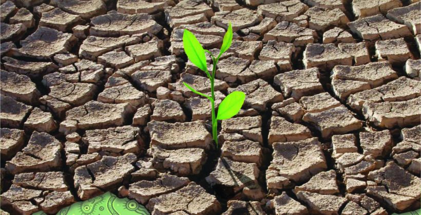 Taller de biodiversidad microbiana nativa: Aportarán al perfeccionamiento de profesionales del ámbito de la microbiología en el contexto del cambio climático