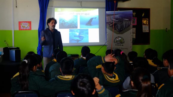 Escolares de Ovalle aprenden sobre varamientos de ballenas