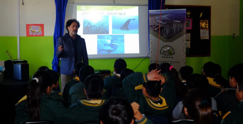 Escolares de Ovalle aprenden sobre varamientos de ballenas
