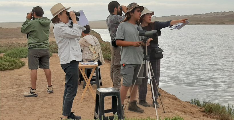En registro on line: Invitan a realizar observaciones científicas en el hogar en el Mes de la Ciencia Ciudadana