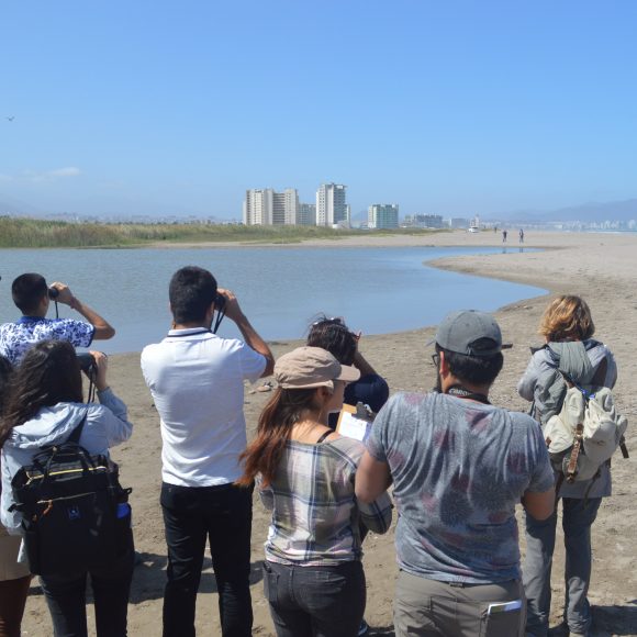 Actividades Día Mundial de Los Humedales: Destacan servicios de humedales en el ambiente y su necesidad de protección