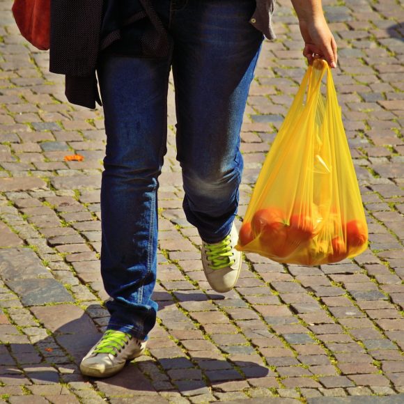 Plantean aplicar proceso de disminución de bolsas plásticas a otros problemas ambientales