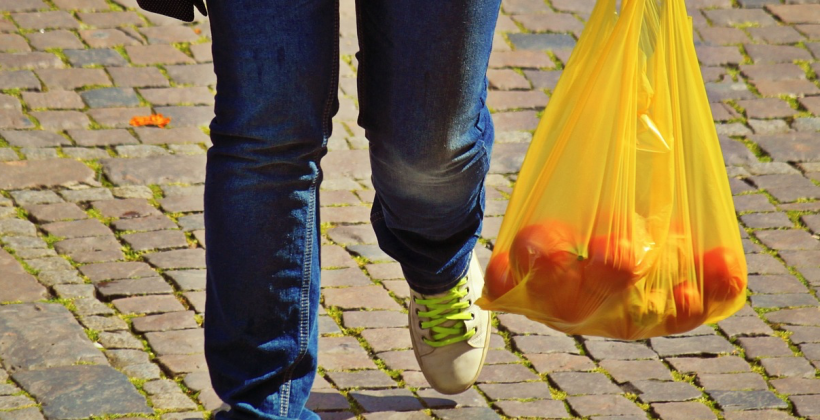 Plantean aplicar proceso de disminución de bolsas plásticas a otros problemas ambientales