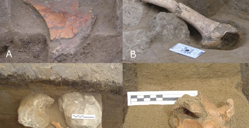 Cambios ambientales habrían aportado a extinción de megafauna en Los Vilos