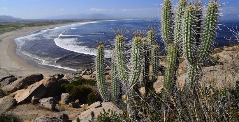 La Región de Coquimbo sigue experimentando déficit de precipitaciones