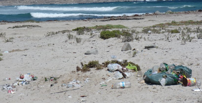 Plantean necesidad de cambios sociales para combatir contaminación por plásticos