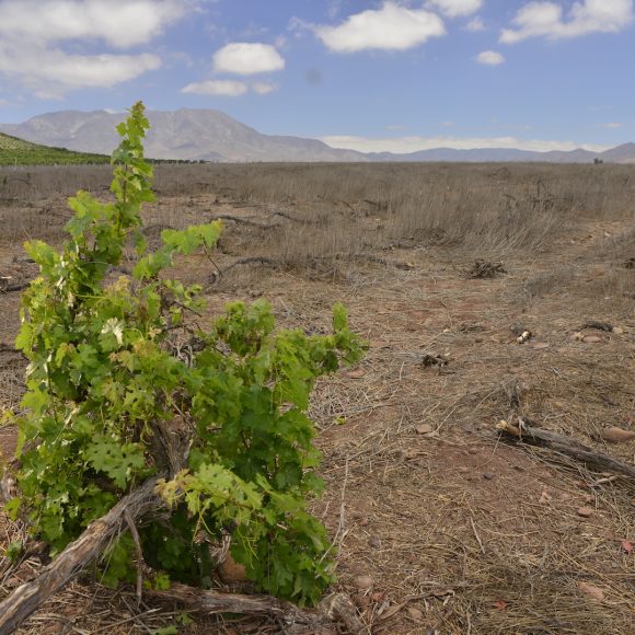 Sexto Informe de Evaluación del IPCC: Relevan consecuencias del Cambio Climático y la necesidad de medidas de adaptación en la Región de Coquimbo