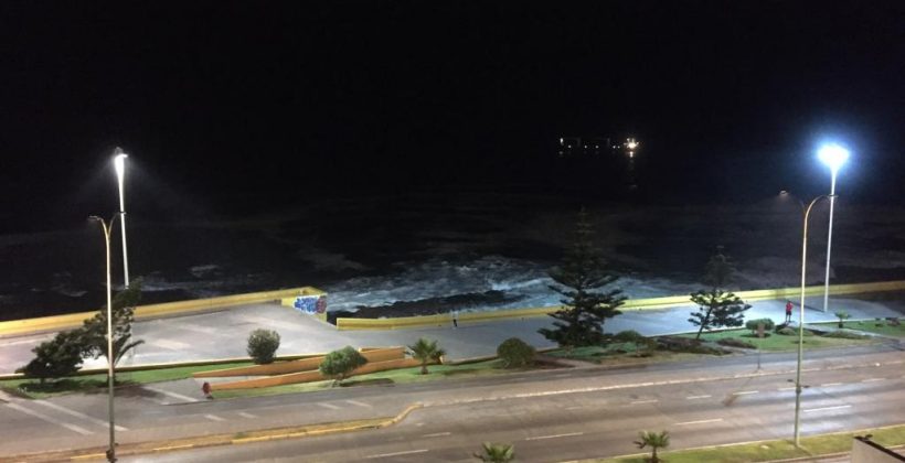 Estudio reporta efectos de la contaminación lumínica nocturna en el recurso marino Loco