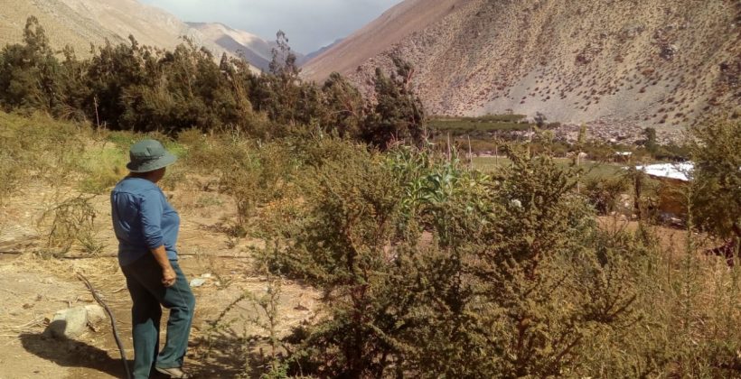 CEAZA contribuye a la toma de decisión hídrica de la comuna de Paihuano