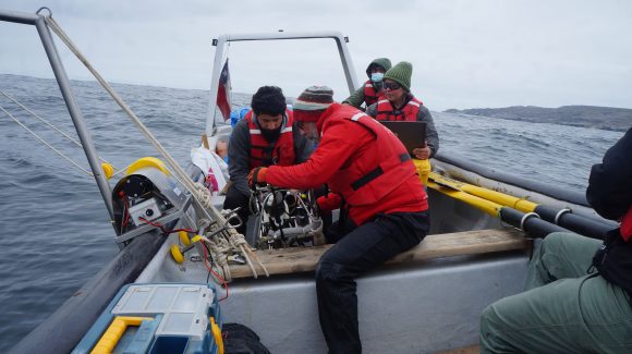 Muestreo biogeoquímico en contexto de cambio climático: Caracterizarán agua que otorga vida a la biodiversidad marina de la costa del Norte Chico