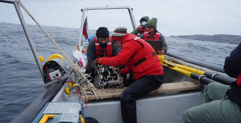 Muestreo biogeoquímico en contexto de cambio climático: Caracterizarán agua que otorga vida a la biodiversidad marina de la costa del Norte Chico