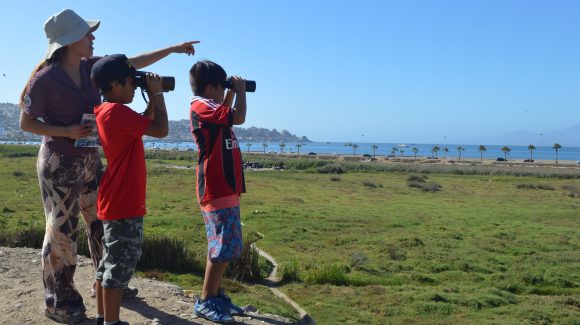 Ciencia para niños: Nuevo cuento infantil promete crear conciencia sobre el rol de los humedales de la Región de Coquimbo