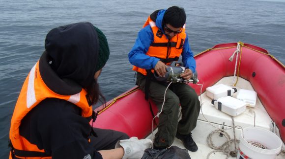 Plataforma web sobre el océano reúne proyecciones climáticas e información educativa para la Región de Coquimbo