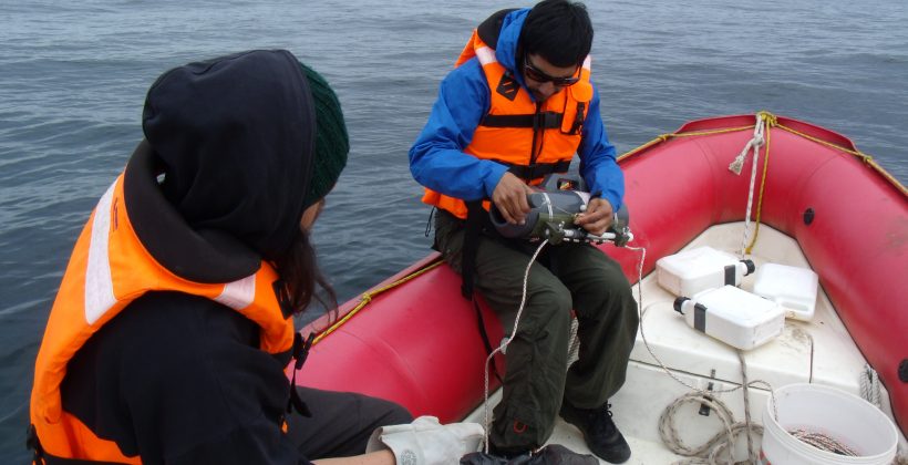 Plataforma web sobre el océano reúne proyecciones climáticas e información educativa para la Región de Coquimbo