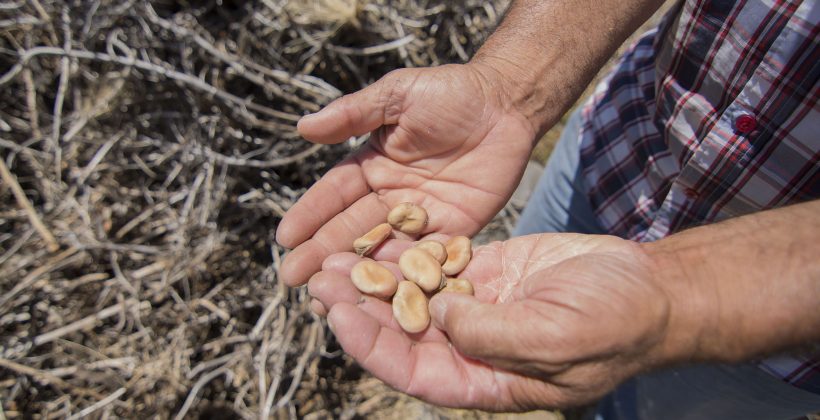 La crisis climática se enfrenta con colaboración en la Región de Coquimbo