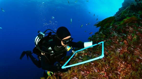 Científicos investigarán cualidades oceanográficas locales para la instalación de plantas desalinizadoras