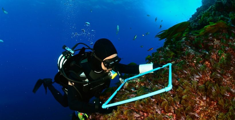 Científicos investigarán cualidades oceanográficas locales para la instalación de plantas desalinizadoras