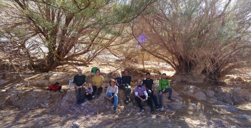 Microorganismos del algarrobo podrían ayudar a mejorar el crecimiento de otras plantas en zonas áridas Microorganismos del algarrobo podrían ayudar a mejorar el crecimiento de otras plantas en zonas áridas