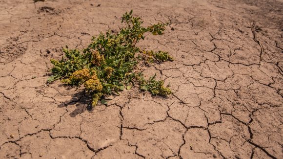 Comienzan a construir el Plan de Acción Climática para la Región de Coquimbo