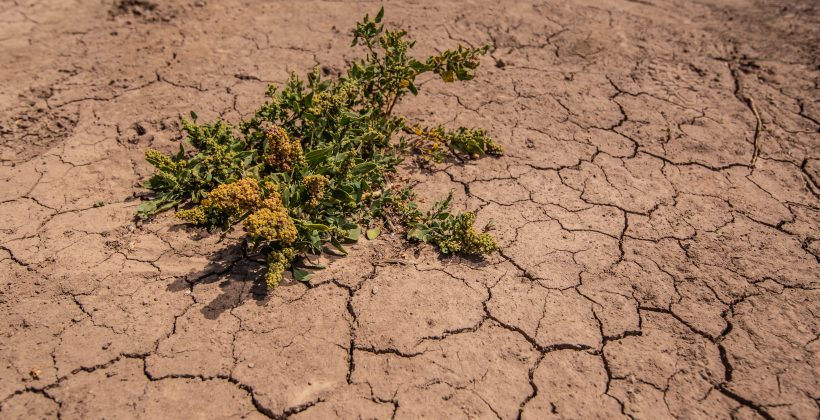 Comienzan a construir el Plan de Acción Climática para la Región de Coquimbo
