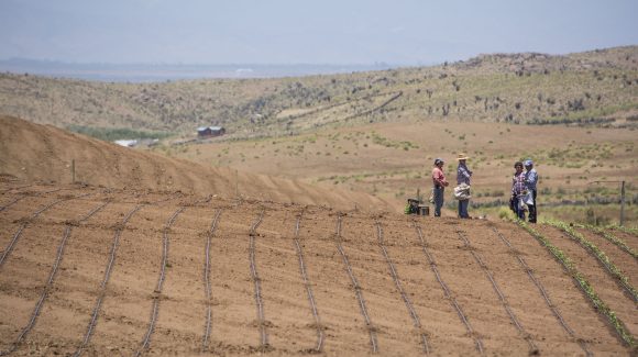 Con miras a futuras medidas regionales de adaptación:  Proyecto Adaptaclim identificó principales riesgos del cambio climático en el suelo y agua en la región