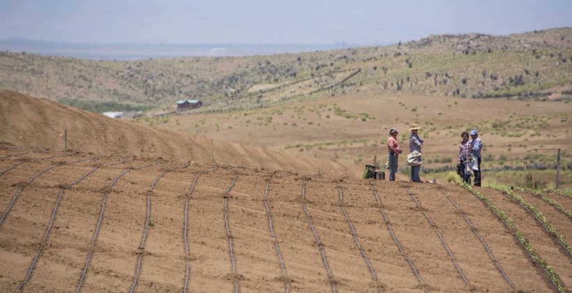 Con miras a futuras medidas regionales de adaptación: Proyecto Adaptaclim identificó principales riesgos del cambio climático en el suelo y agua en la región Con miras a futuras medidas regionales de adaptación: Proyecto Adaptaclim identificó principales riesgos del cambio climático en el suelo y agua en la región