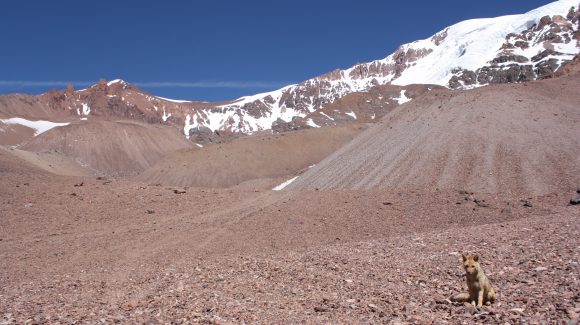 Boletín Climático del CEAZA confirma escasas lluvias para los próximos meses en la Región de Coquimbo