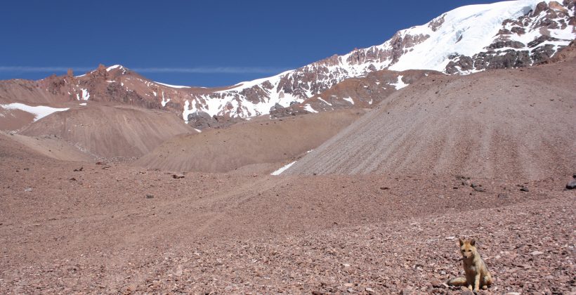 Boletín Climático del CEAZA confirma escasas lluvias para los próximos meses en la Región de Coquimbo Boletín Climático del CEAZA confirma escasas lluvias para los próximos meses en la Región de Coquimbo