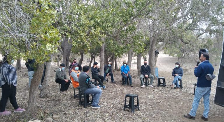 Investigación de CEAZA identificó las plantas que aprovechan de mejor forma el agua de niebla en Canela