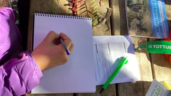 Taller combinó la ciencia y el arte para enseñar a apreciar y registrar la biodiversidad del Limarí