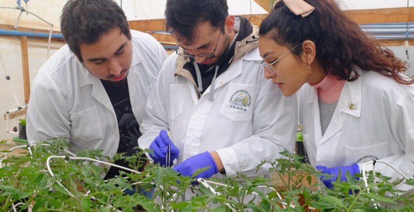 Proponen soluciones basadas en la ciencia para contribuir a una agricultura sustentable