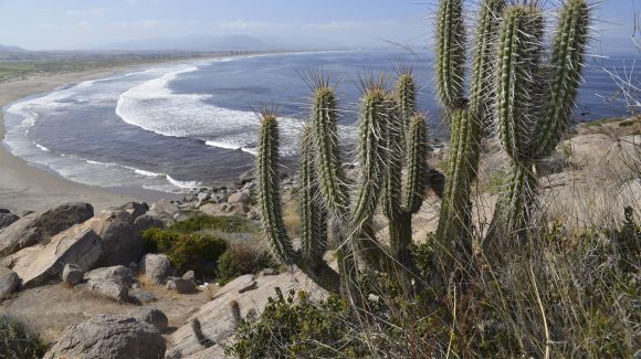 Conoce el pronóstico del tiempo del domingo 4 de septiembre en la Región de Coquimbo
